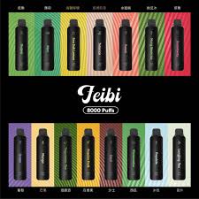 Feibi 菲比一次性 8000 口|8ml 大油倉+Mesh 網狀棉芯+Type-C 快充|口味整理