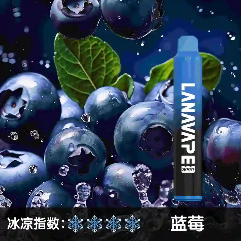 LANA 8000口 一次性