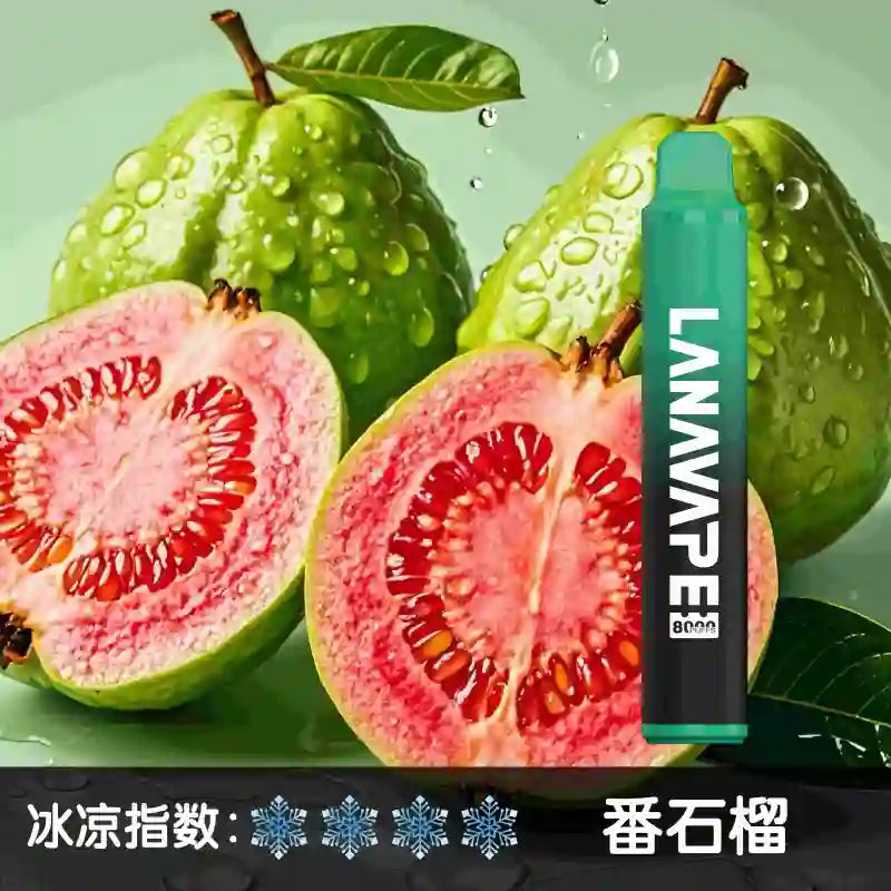 LANA 8000口 一次性