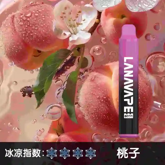 LANA 8000口 一次性