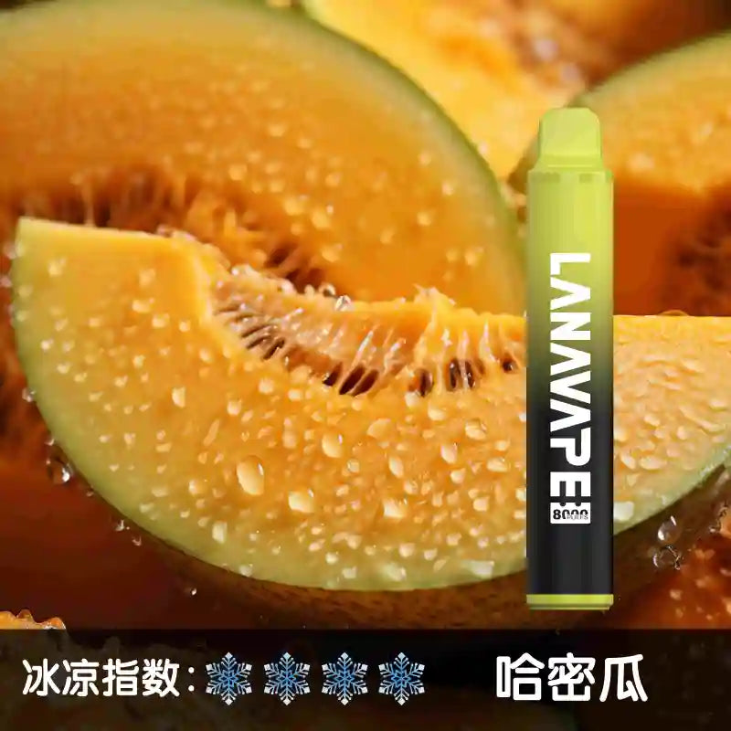 LANA 8000口 一次性